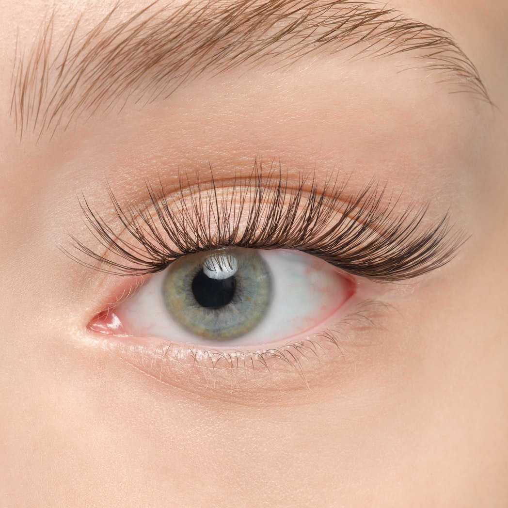 Plushy Gossamer® False Eyelashes - Natural Wispy Lashes for Dramatic Eye Makeup | Perfect for Parties, Weddings & Special Occasions