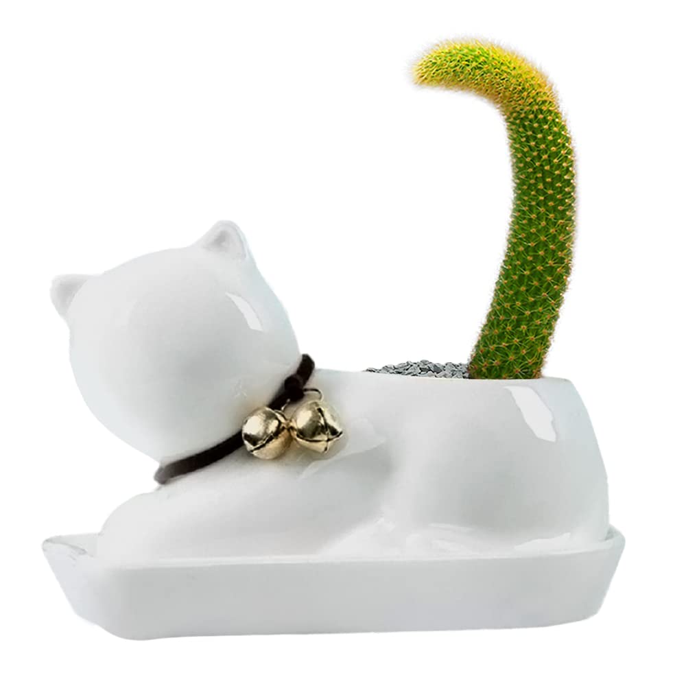 GeLive White Ceramic Cat Succulent Planter with Tray - Cute Cartoon Animal Flower Pot for Mini Plants, Herbs & Grass - Perfect for Home Decor, Office Desk & Gift Giving