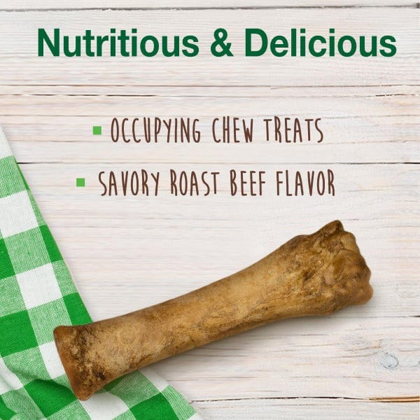 Nylabone Healthy Edibles Roast Beef Flavor Dog Chew Toy - Long-Lasting Dental Chew for Medium to Large Dogs - Perfect for Teething Puppies & Aggressive Chewers - Great for Indoor Play & Outdoor Adventures