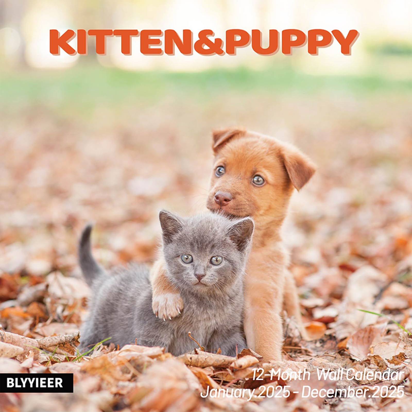 **2025 Wall Calendar with Cute Kittens & Puppies - 12