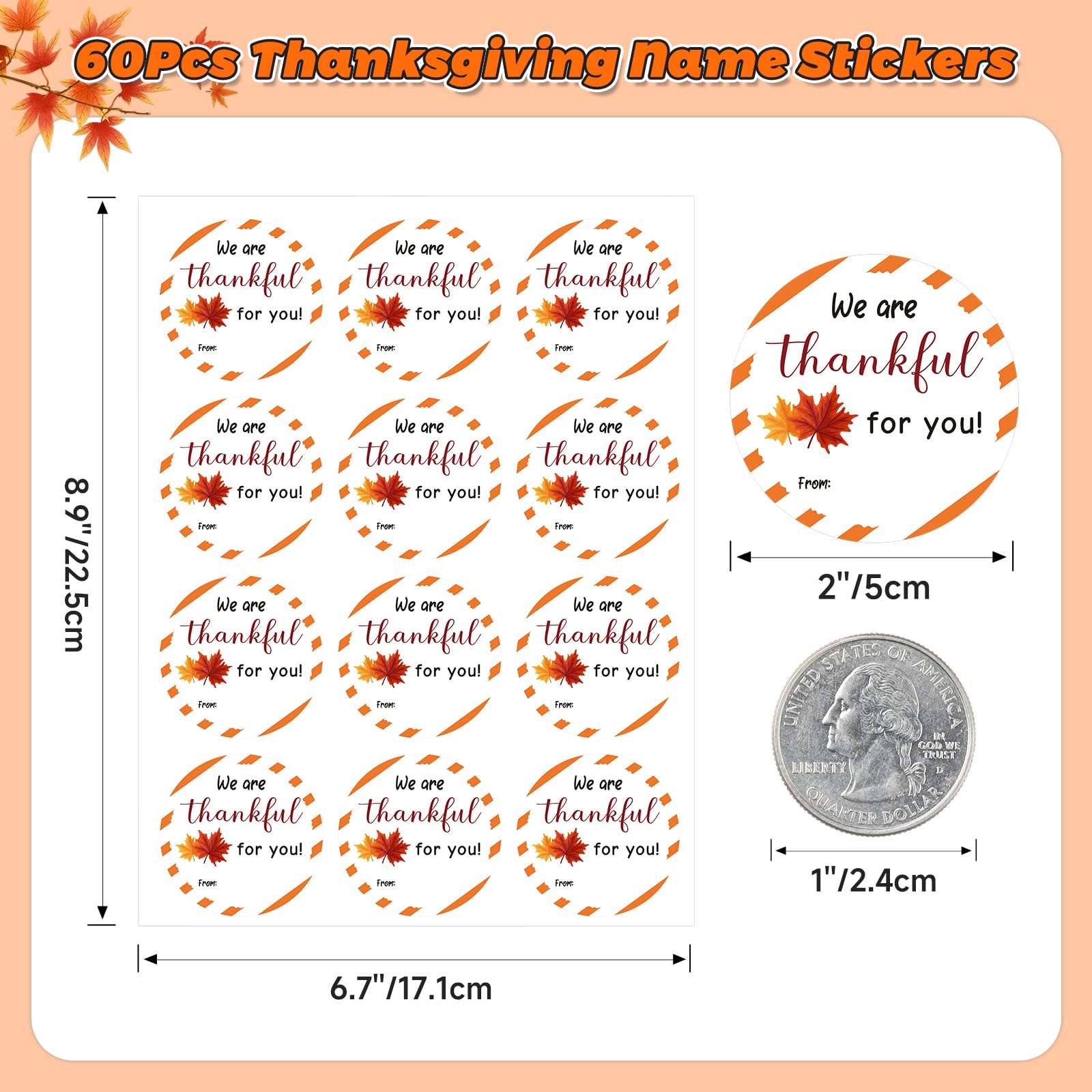 Anwyll 60Pcs 2Inch Thanksgiving Stickers - Self-Adhesive Thankful Leaf Labels for Cards, Envelopes & Party Decor | Perfect for Holiday Gifts, Fall Celebrations & DIY Crafts