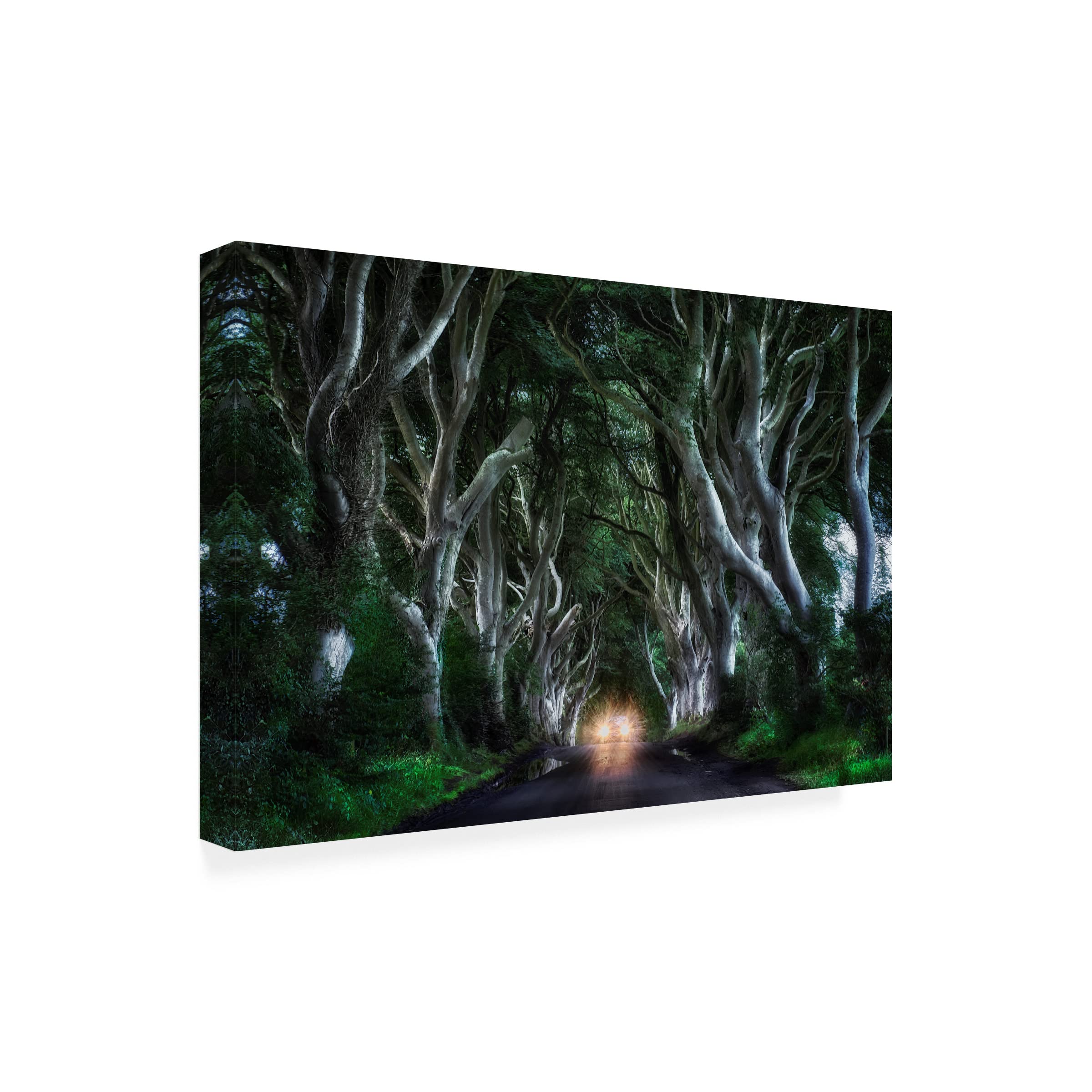 Trademark Fine Art 'The Dark Hedges' Canvas Wall Art Print by Aida Ianeva - Gothic Landscape Painting for Living Room & Office Decor