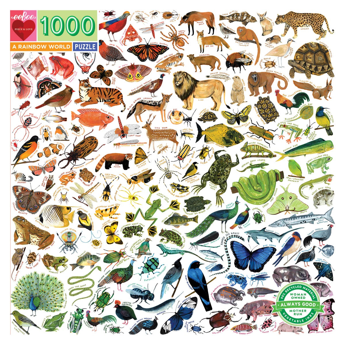 eeBoo 1000 Piece Jigsaw Puzzle - A Rainbow World - Colorful Landscape Art Puzzle for Adults & Teens - Perfect for Family Game Night & Relaxation