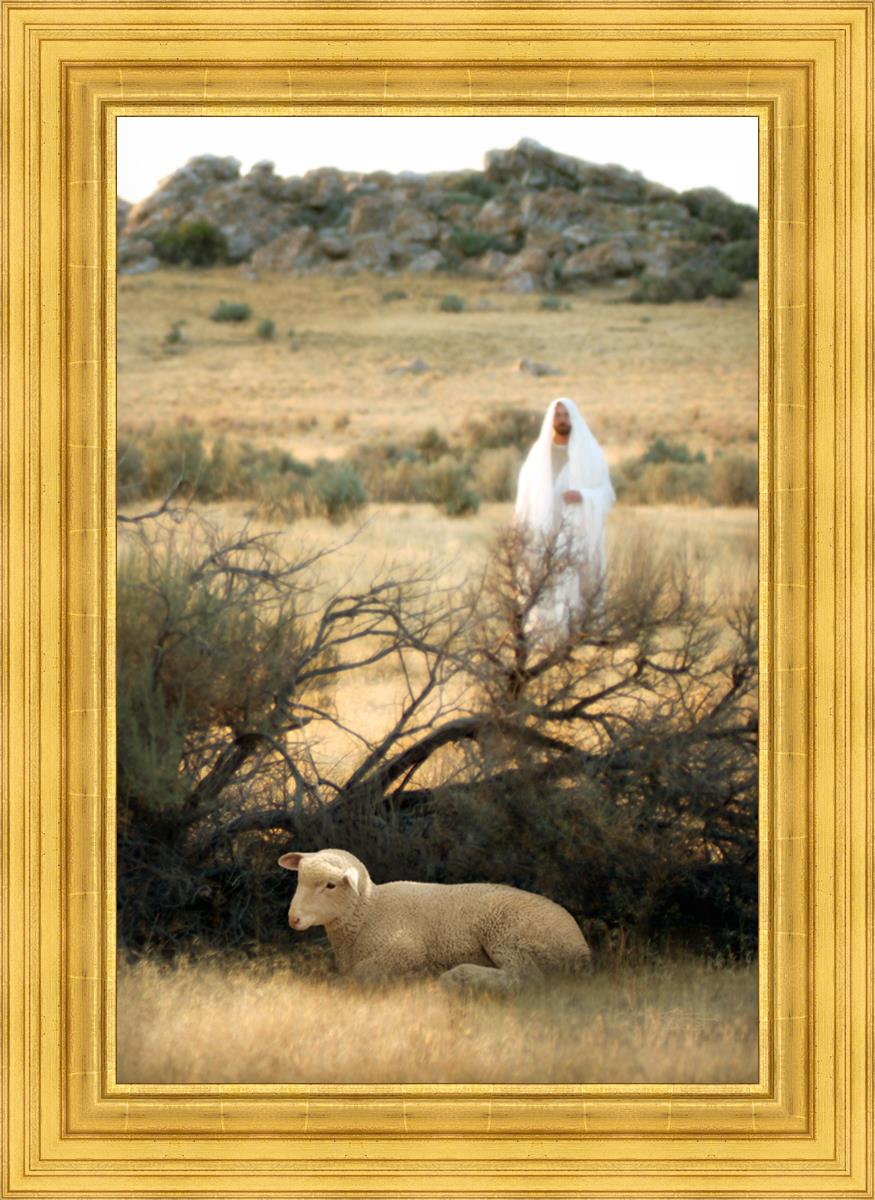 He Will Find Me by Scott Sumner - Psychological Thriller Novel - Perfect for Book Clubs & Mystery Lovers