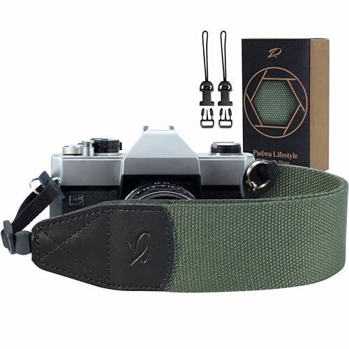 Z# - Dark Green