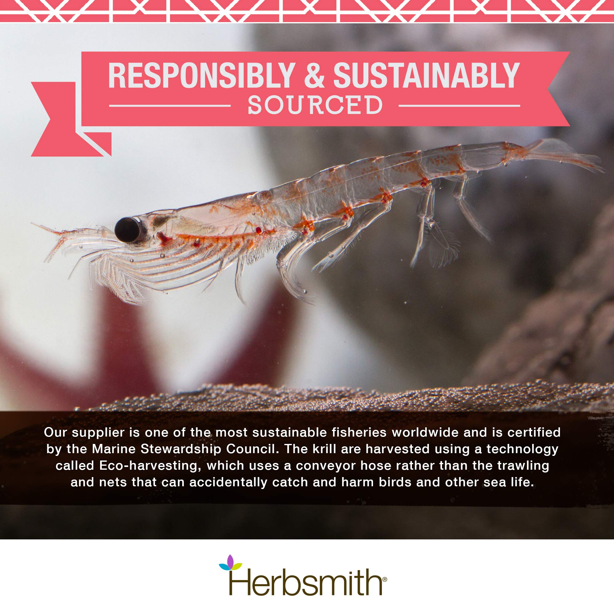 Herbsmith Pure Krill for Dogs - Wild-Caught Antarctic Krill Oil Supplement with Natural Astaxanthin - Single Ingredient Omega 3 Fatty Acids - 400g Ready-to-Use Powder - Supports Joint, Skin & Coat Health - Perfect for Senior Dogs & Active Pets