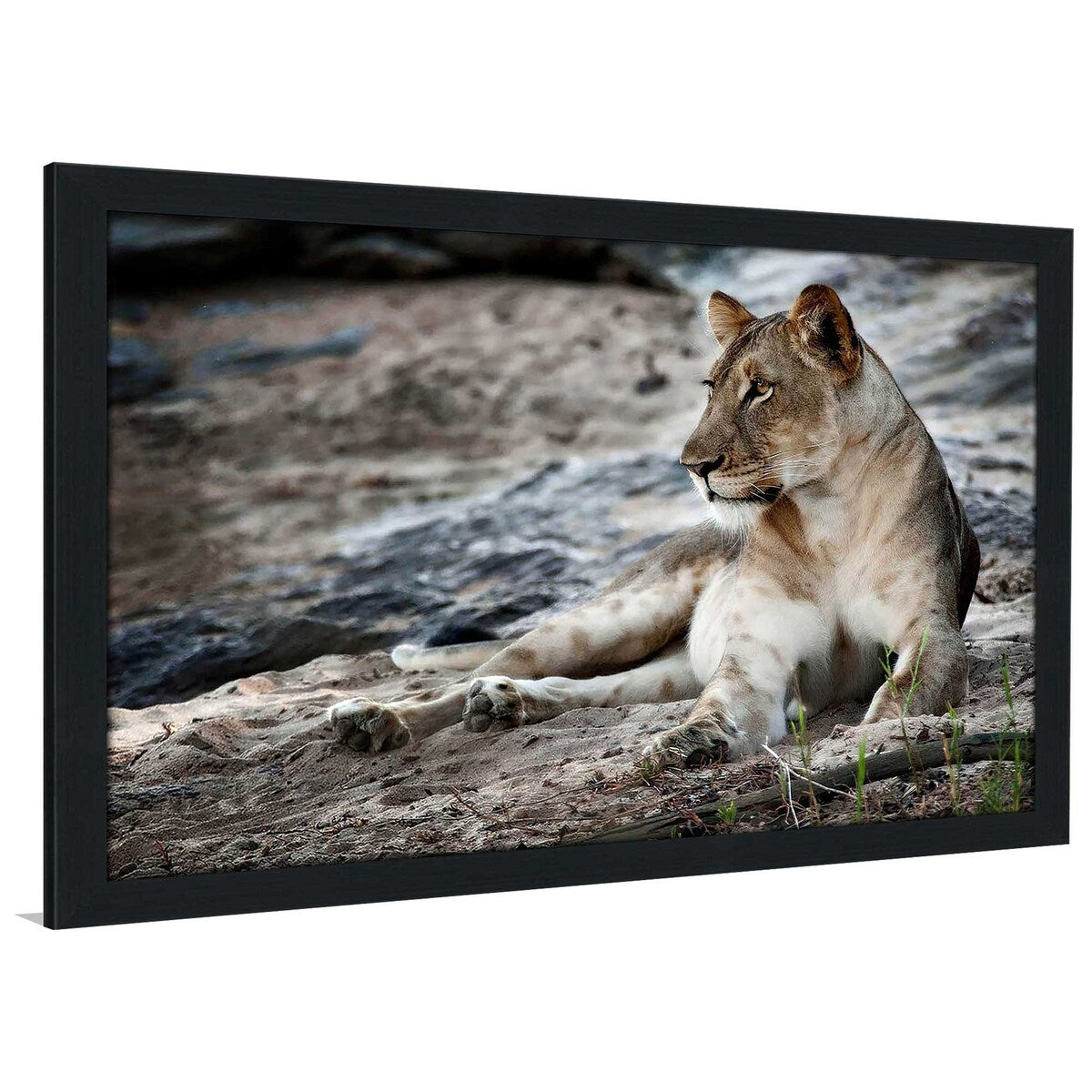 Stylish Afternoon Pose Horizontal Acrylic Print - Perfect for Home Decor, Office Wall Art & Modern Interior Design
