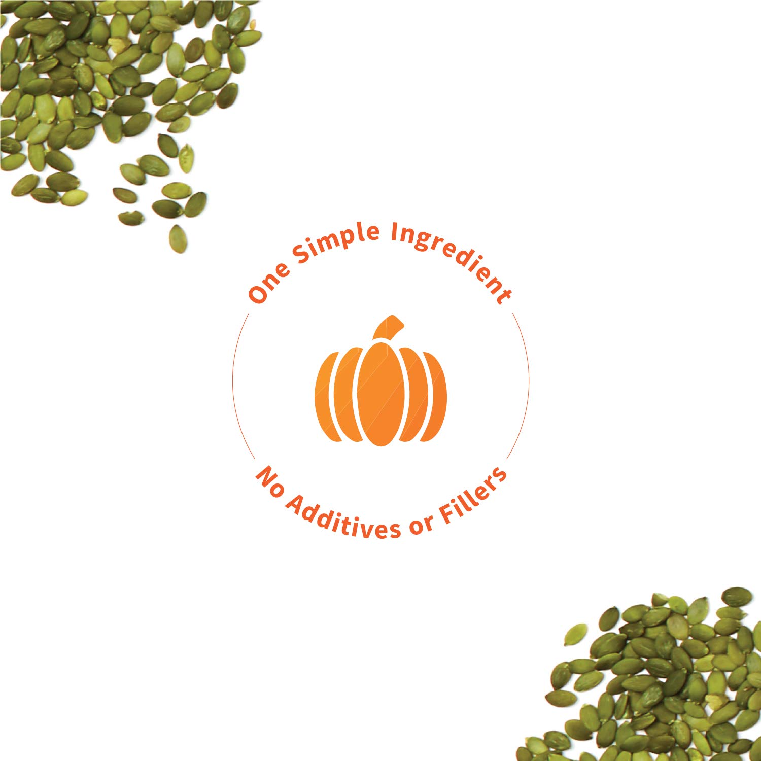 Sprout Living Organic Pumpkin Seed Protein Powder - 20g Plant-Based Vegan Protein, Non-GMO, Gluten-Free, Dairy-Free, No Artificial Sweeteners, Keto-Friendly (1lb) - Perfect for Smoothies, Baking & Post-Workout Recovery