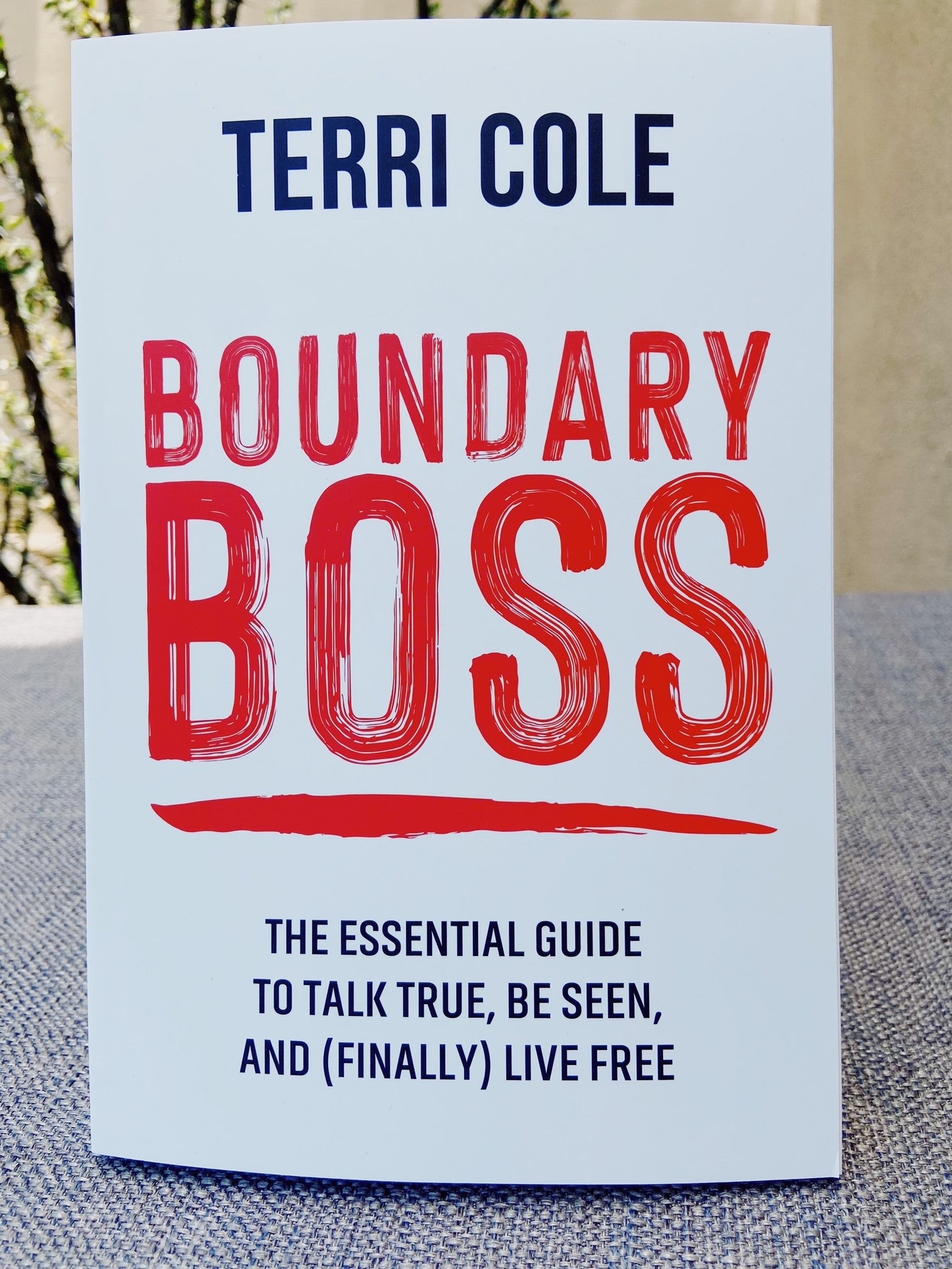 Boundary Boss by Terri Cole - The Book to Set Healthy Boundaries & Build Strong Relationships | Self-Help Guide for Women, Professionals & Entrepreneurs | Perfect for Personal Growth & Workplace Success
