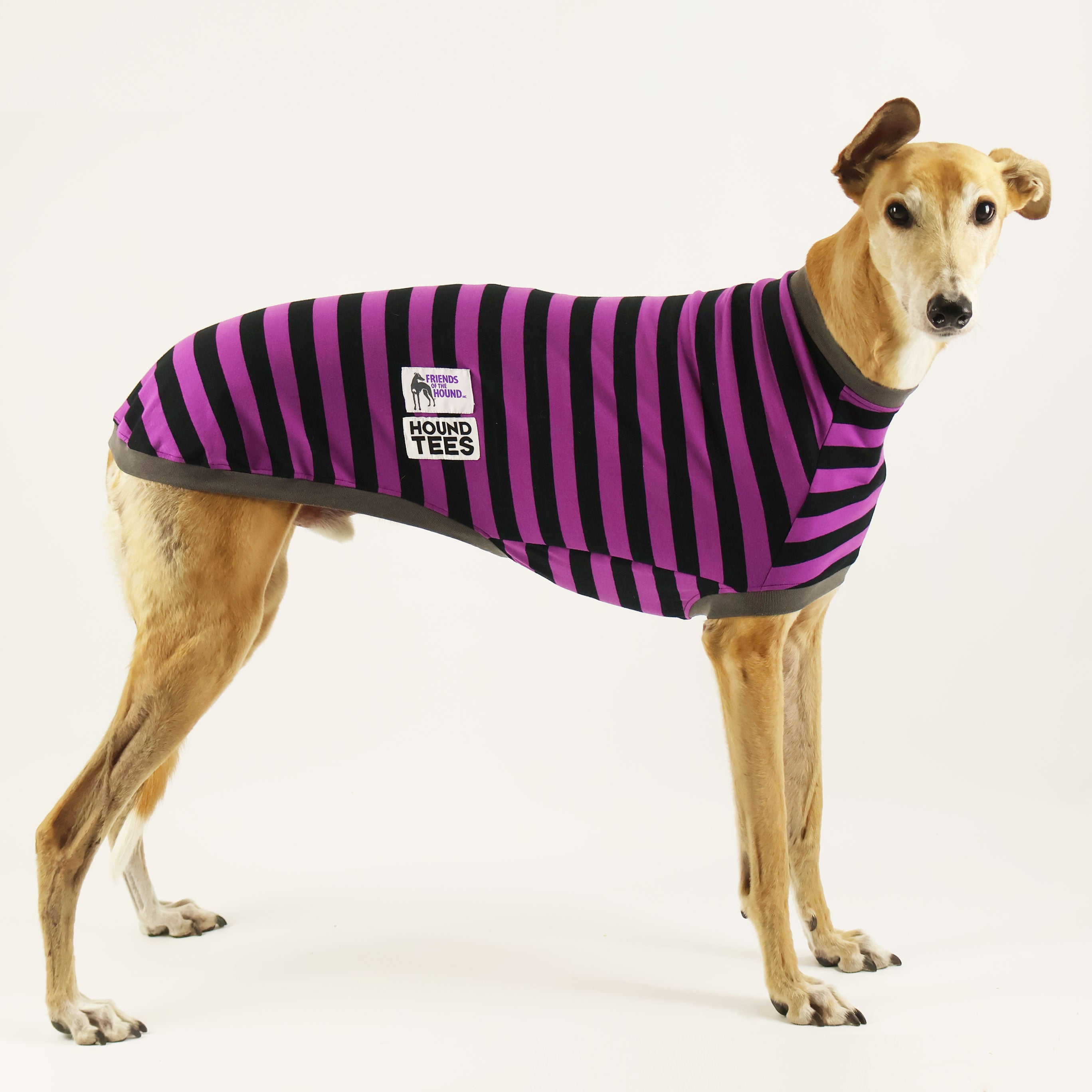 Friends Of the Hound Greyhound Sleeveless Hound Tee - Comfortable Dog Lover T-Shirt for Running, Walking & Casual Wear