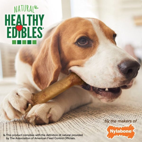 Nylabone Healthy Edibles Dog Chew Treats - Bacon Flavor, Long-Lasting Dental Chews for Medium to Large Dogs | Perfect for Teething, Anxiety Relief & Dental Health