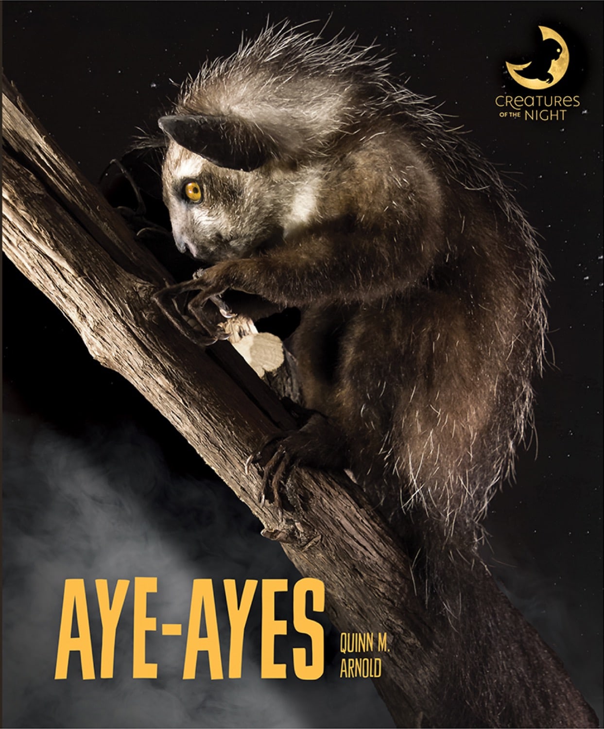 Aye Ayes Book - ISBN 978-1-64026-116-7 | Educational Children's Storybook for Bedtime Reading & Classroom Learning