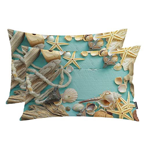 Ocean Marine Organism Starfish 2 Bluea