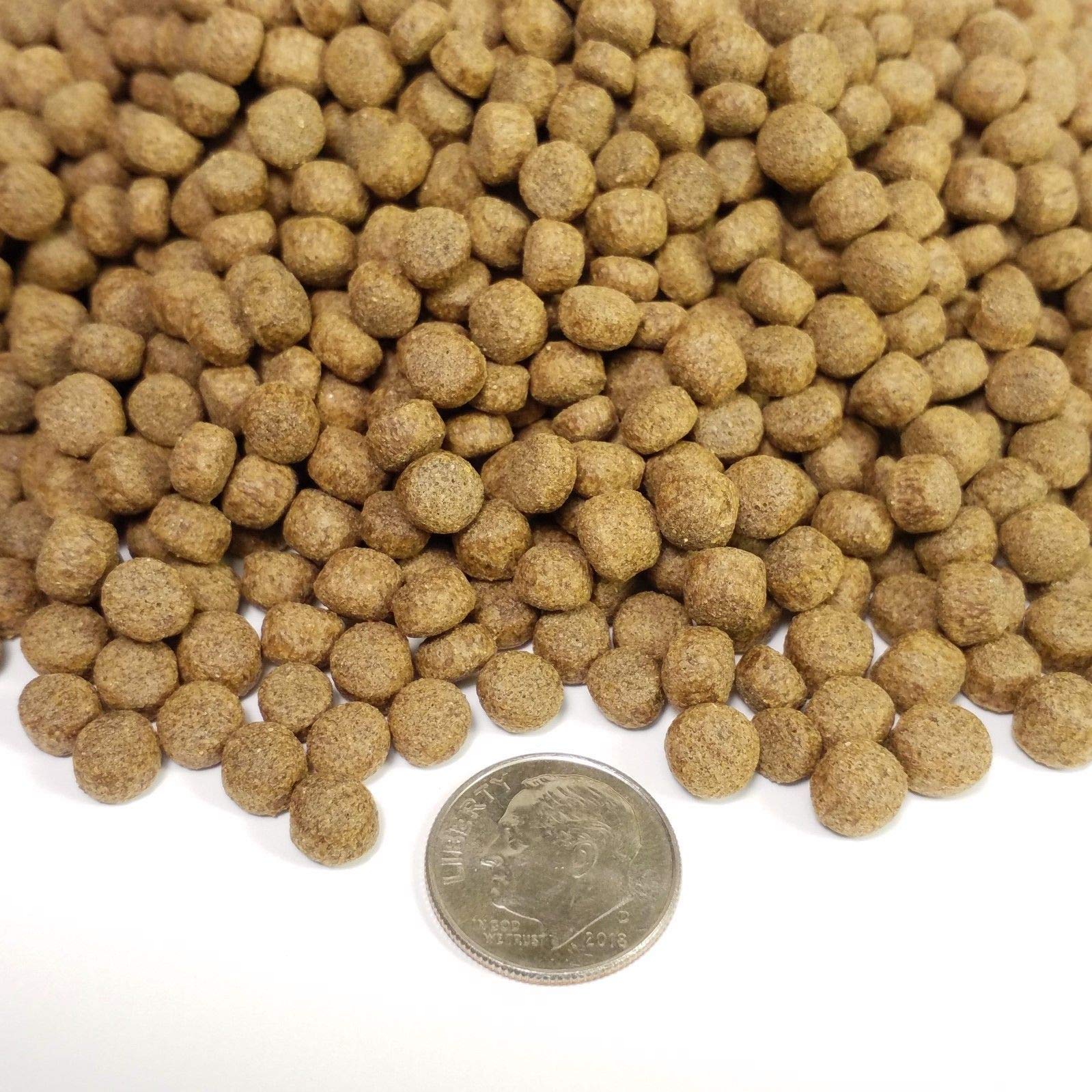 Premium 42% Protein Koi & Pond Fish Food - 1/4