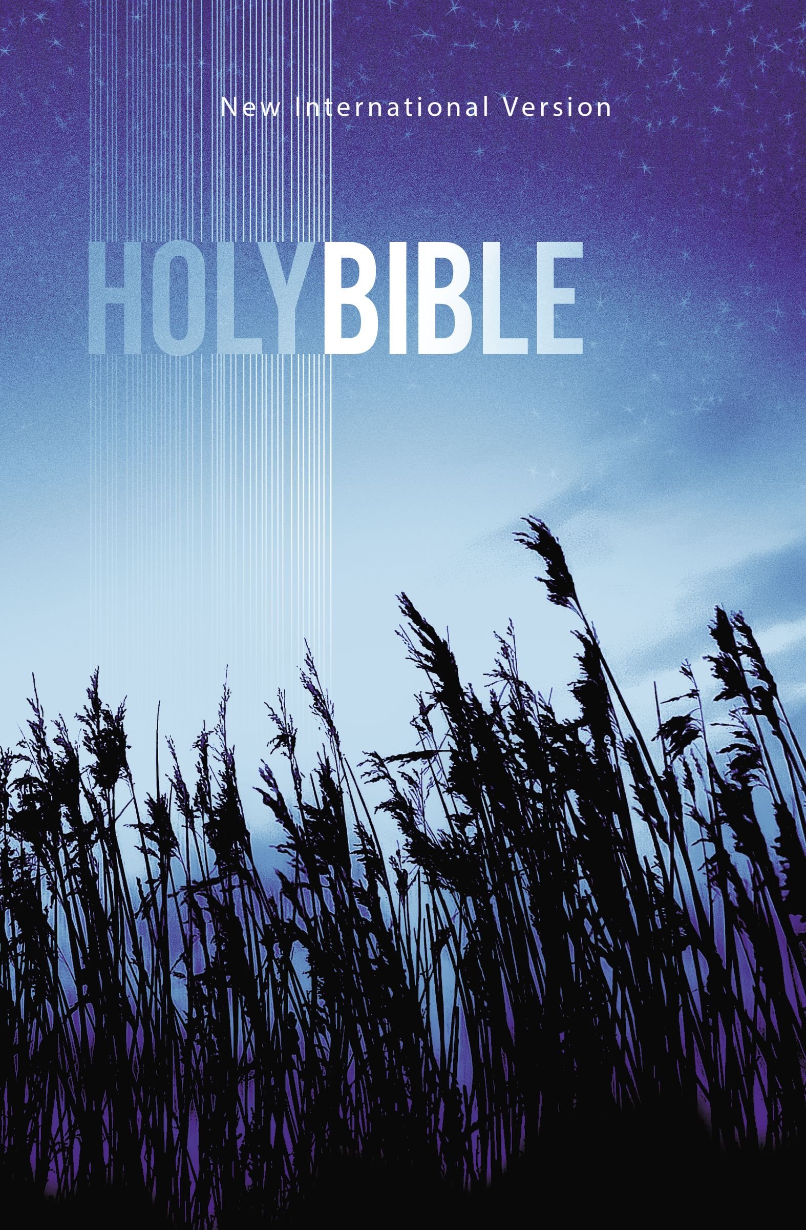 NIV Outreach Bible, Paperback, Blue - Perfect for Church Groups, Bible Studies & Personal Devotion
