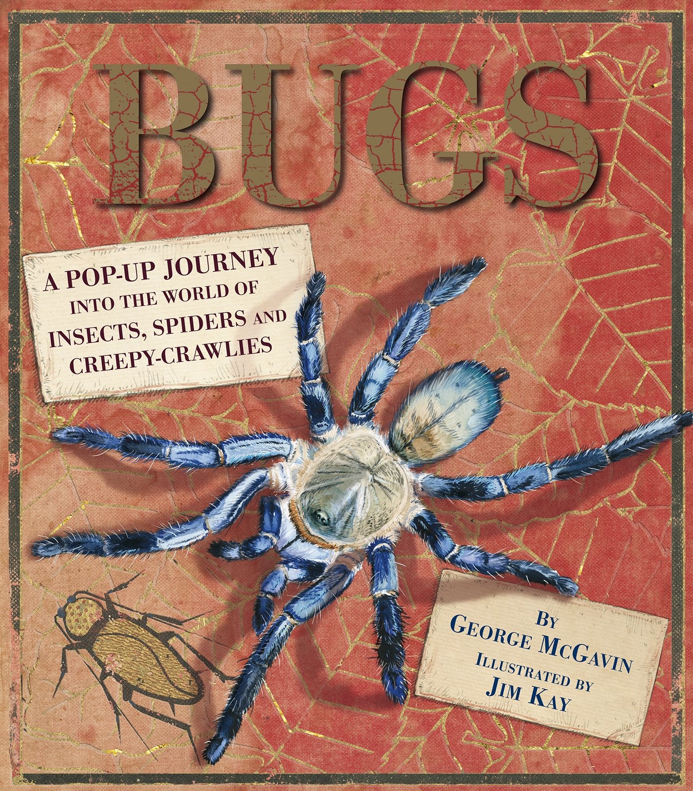 Bugs: A Pop-Up Book Exploring Insects, Spiders & Creepy-Crawlies – Interactive Educational Toy for Kids, Nature Lovers & Classroom Learning