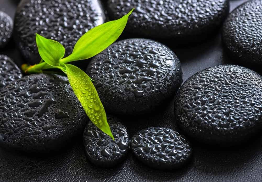 Wall26 - Black Rocks with Rain Drops & Green Plant Wall Mural - 100x144 Inch Removable Peel & Stick Wallpaper - Nature Inspired Home Decor for Living Room, Bedroom, Office