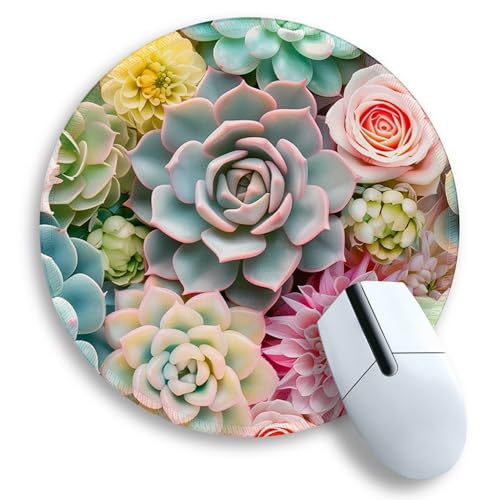 succulents