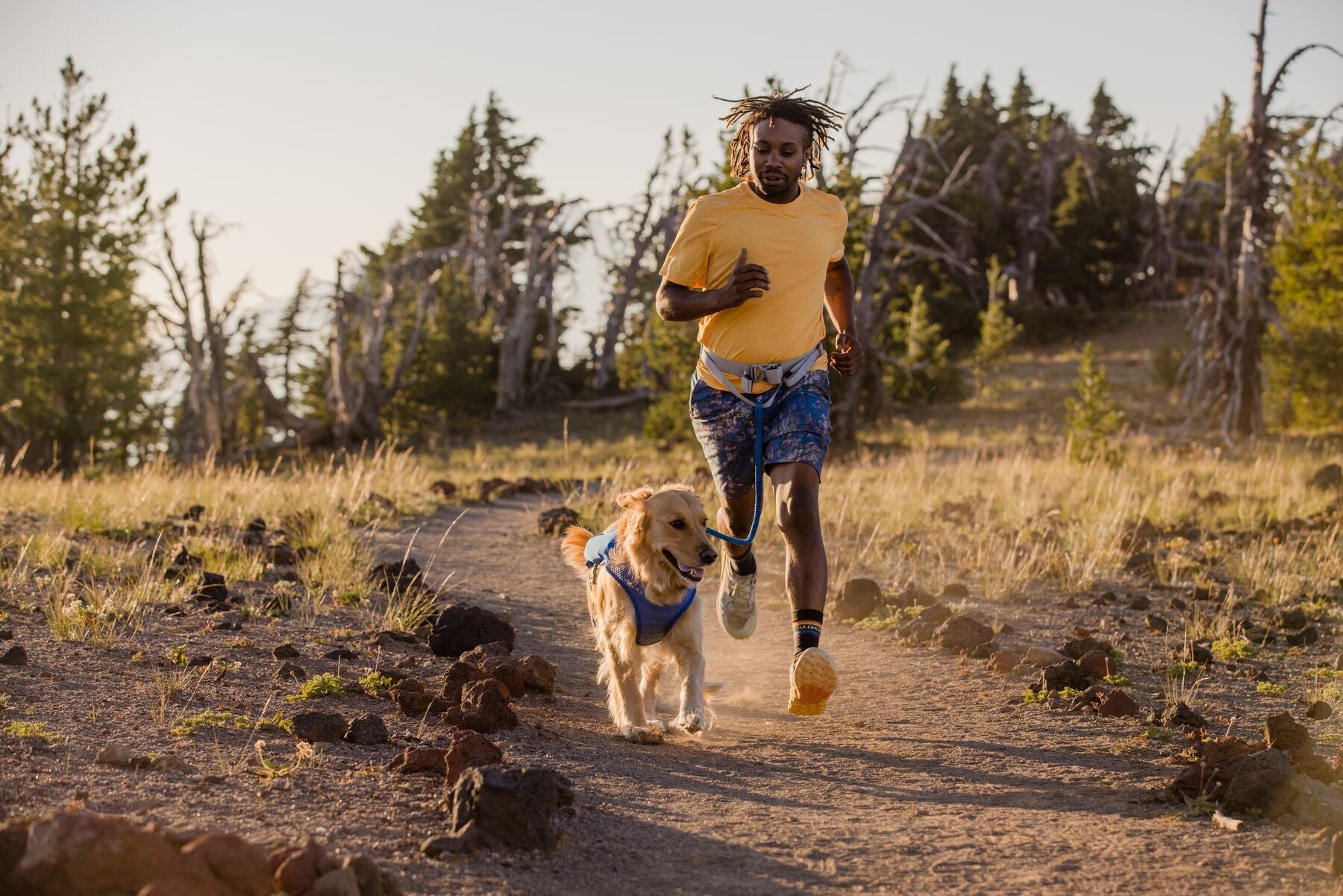 Ruffwear Dog Running Vest - Reflective Trail Runner Harness for Dogs in High-Visibility Lichen Green - Perfect for Hiking, Jogging & Outdoor Adventures