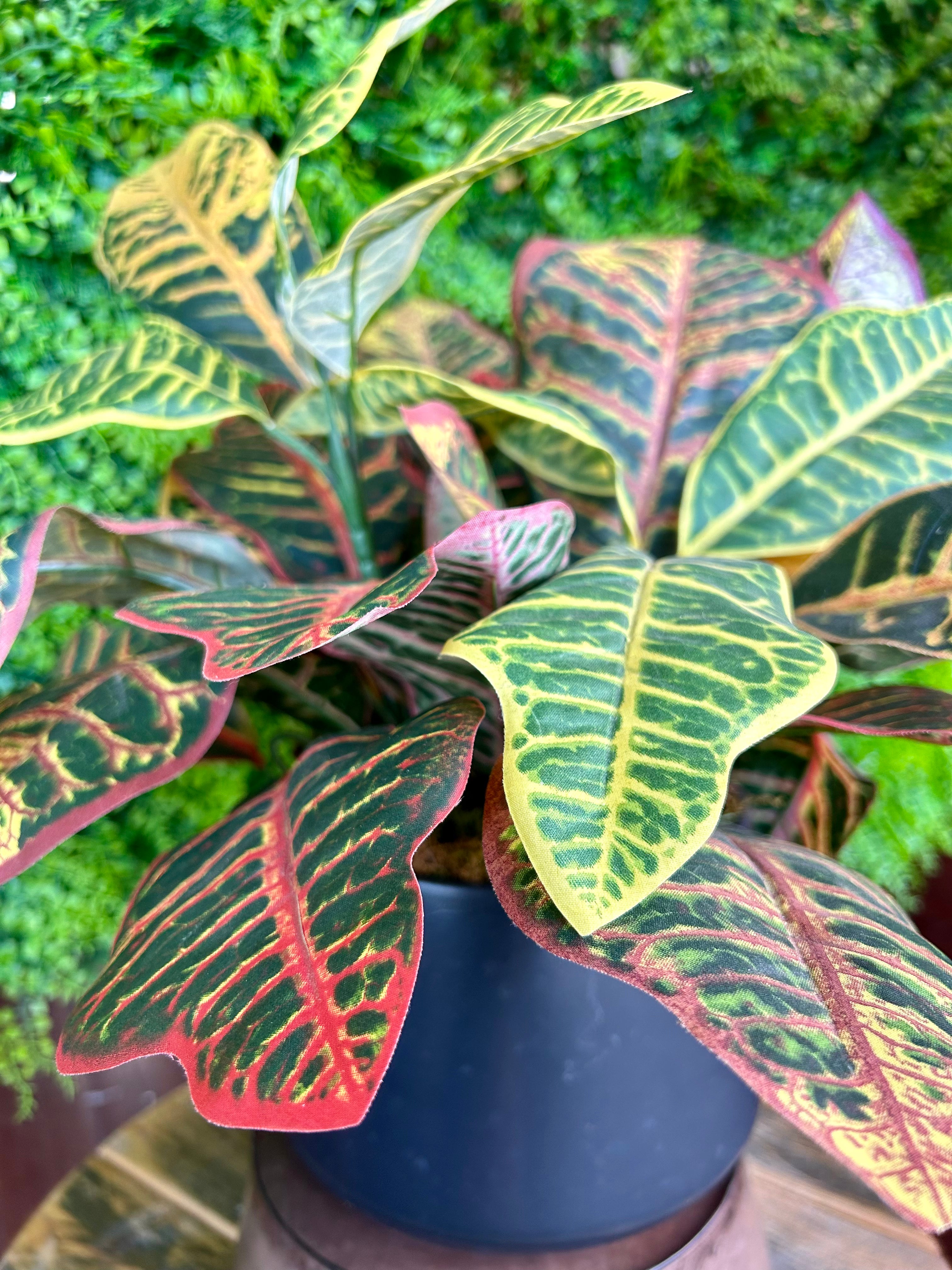 6 Inch Silk Potted Croton Artificial Plant - Realistic Faux Croton Houseplant for Home Decor, Office Desk, Living Room & Indoor Greenery