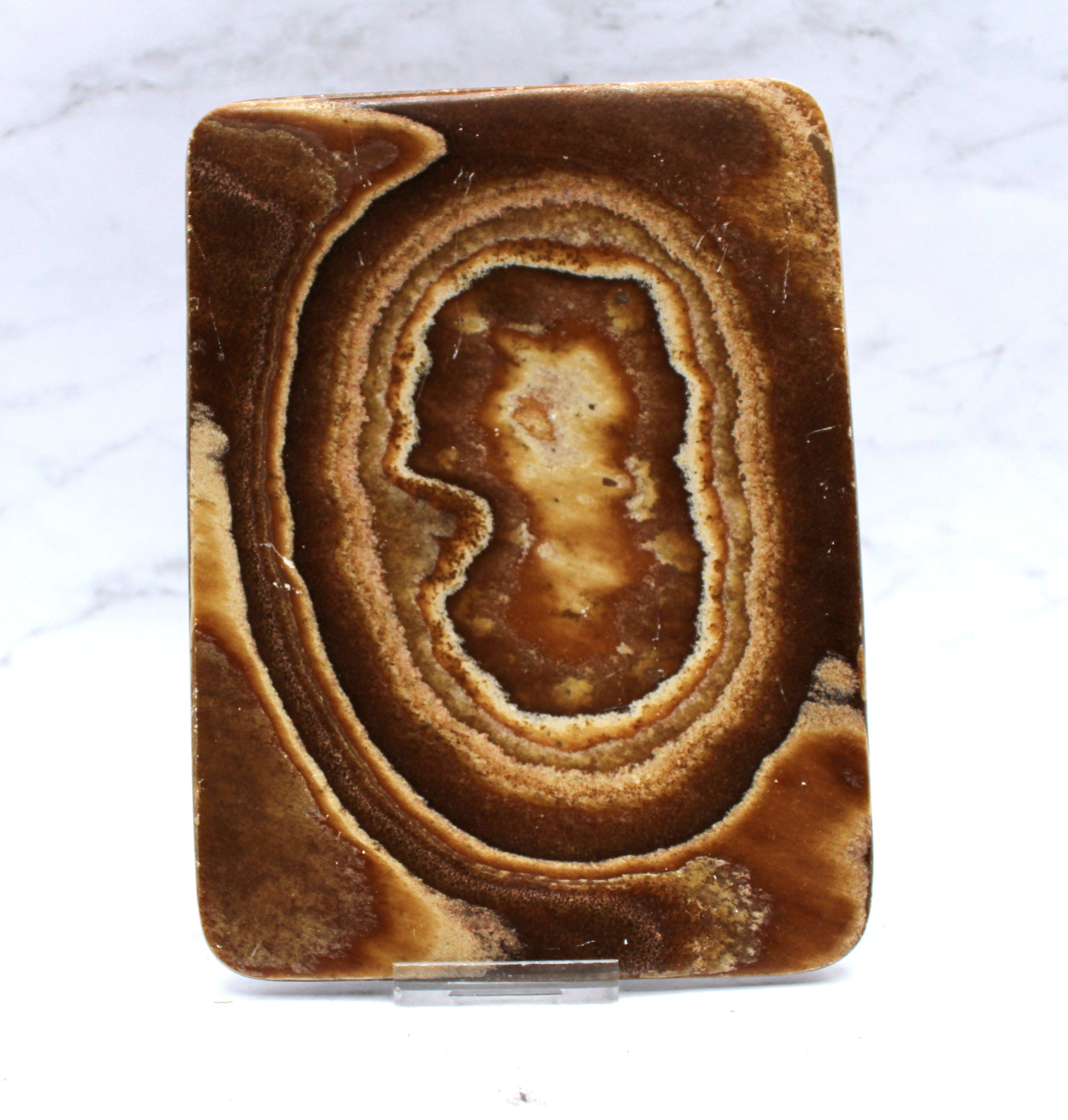 Premium Aragonite Dish 8