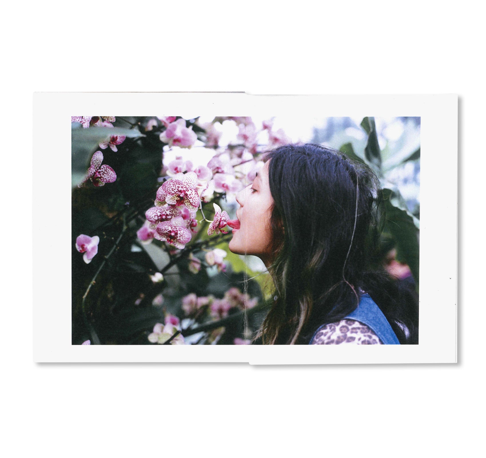 MUSES VOL.5 Photography Book by Ari Marcopoulos, Francesca Allen, Jody Rogac, Michael Schmelling, Nick Sethi - Contemporary Art Collection for Home Decor & Coffee Table Display