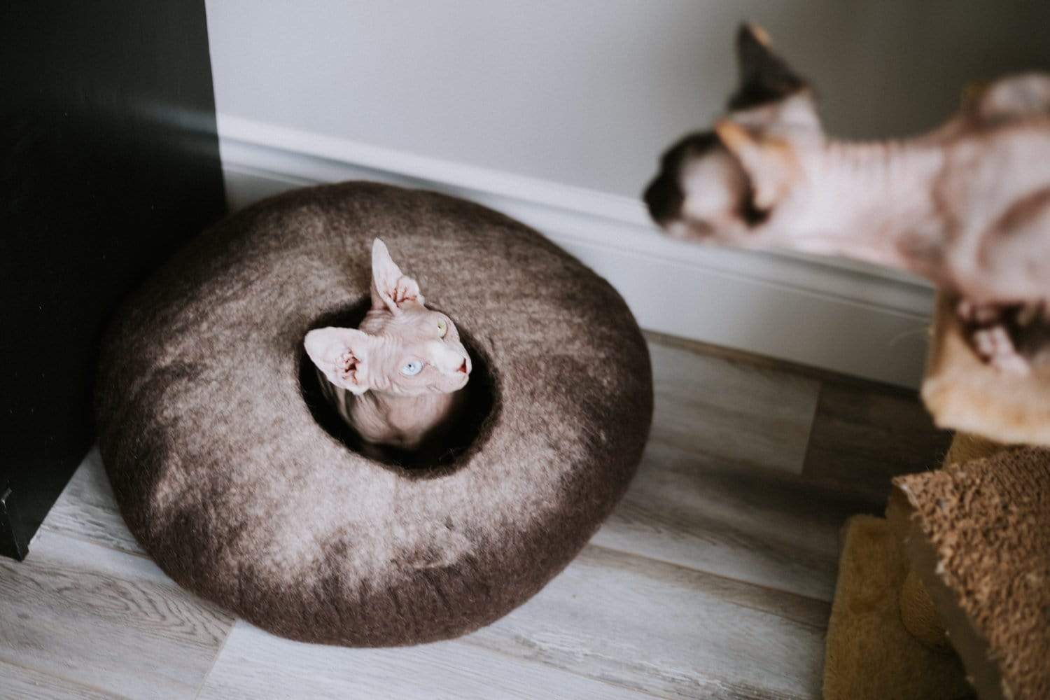 Cozy Himalayan Cat Cave Bed - Warm & Soft Pet Hideaway for Indoor Cats - Perfect for Napping, Lounging & Stress Relief