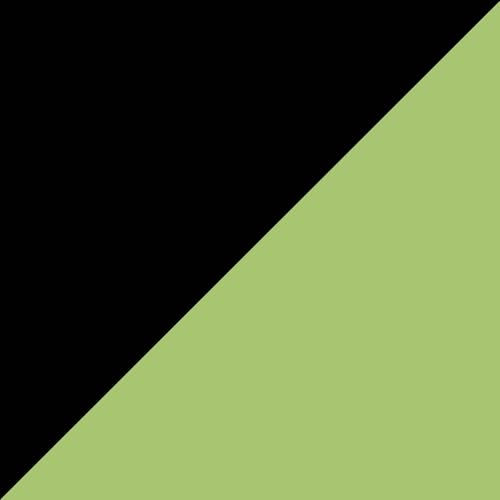 A6-Black&Lemon Green