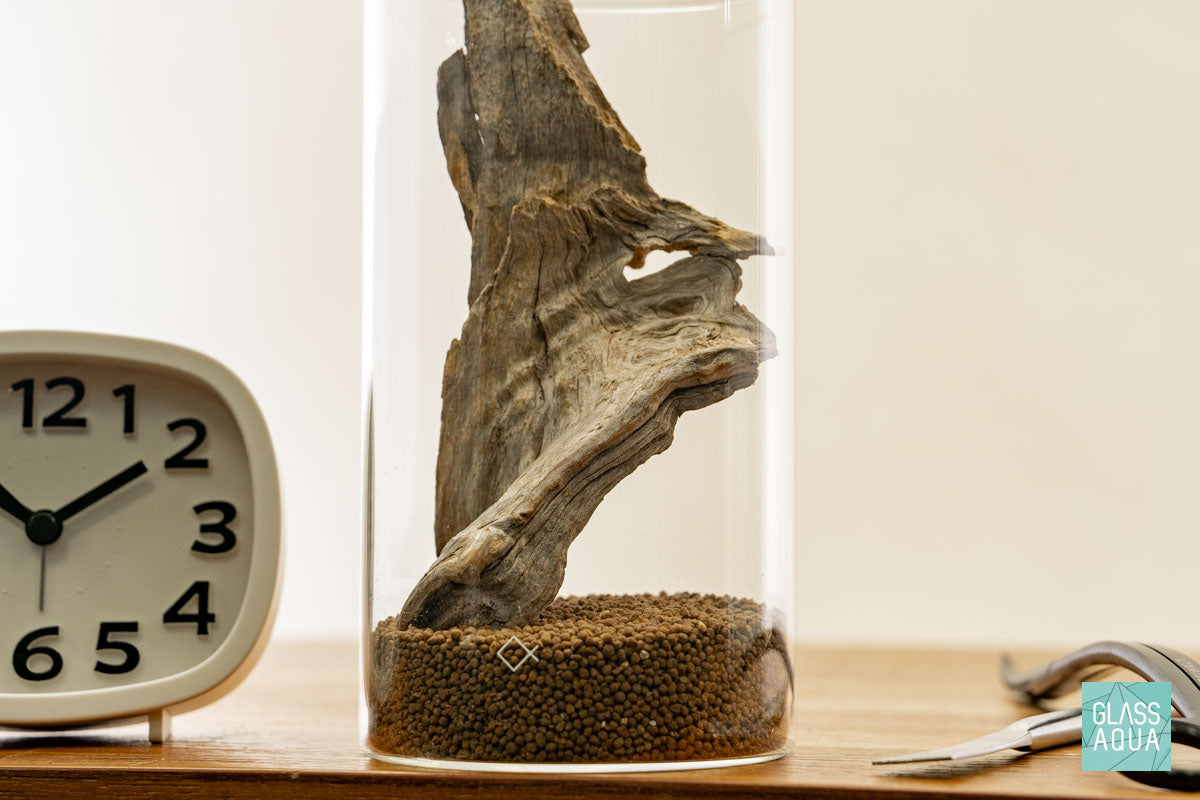 Miniature Terrarium Kit for DIY Home Decor - Create Your Own Tiny Garden in Glass Jar | Perfect for Office Desk, Living Room & Gift Giving