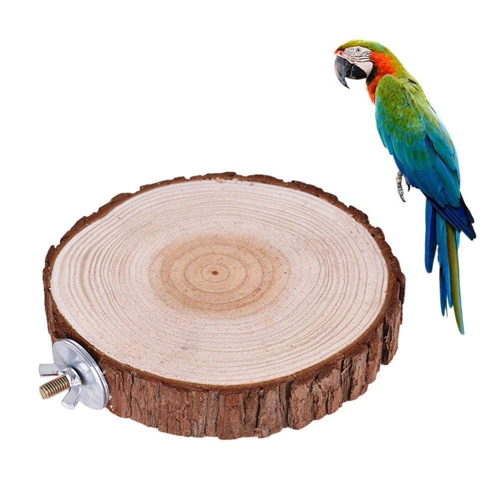 Totority Wooden Bird Play Stand for Cockatiels & Parrots - Natural Wood Perch, Springboard & Platform with Long Tail Design | Perfect for Bird Cages, Playtime & Training | Great for Small to Medium Birds Like Cockatiels, Lovebirds & Conures