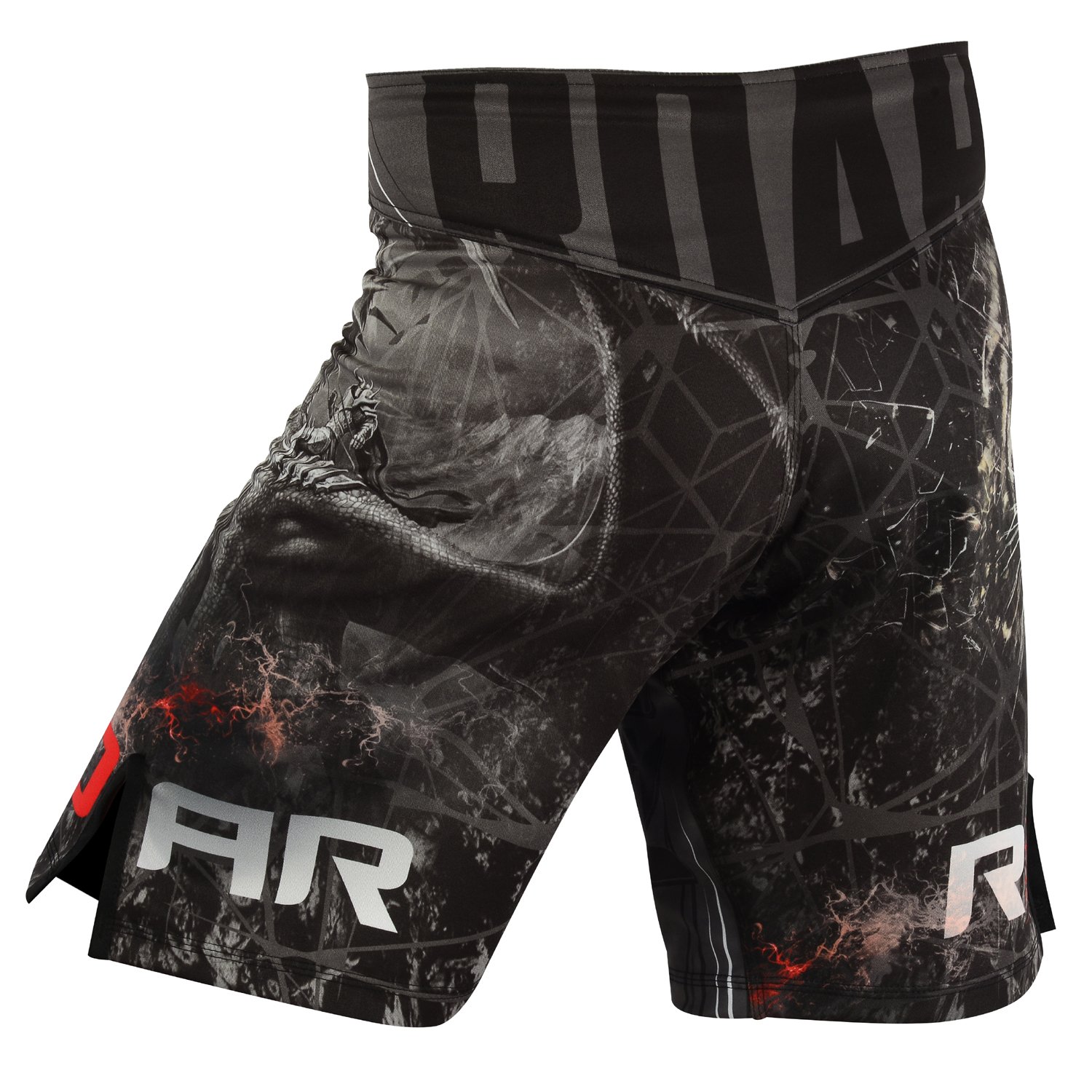 Roar MMA Rash Guard & BJJ Grappling Shorts - No Gi Training Wear for Cage Fighting, Brazilian Jiu-Jitsu & MMA - Perfect for Combat Sports & Martial Arts Training