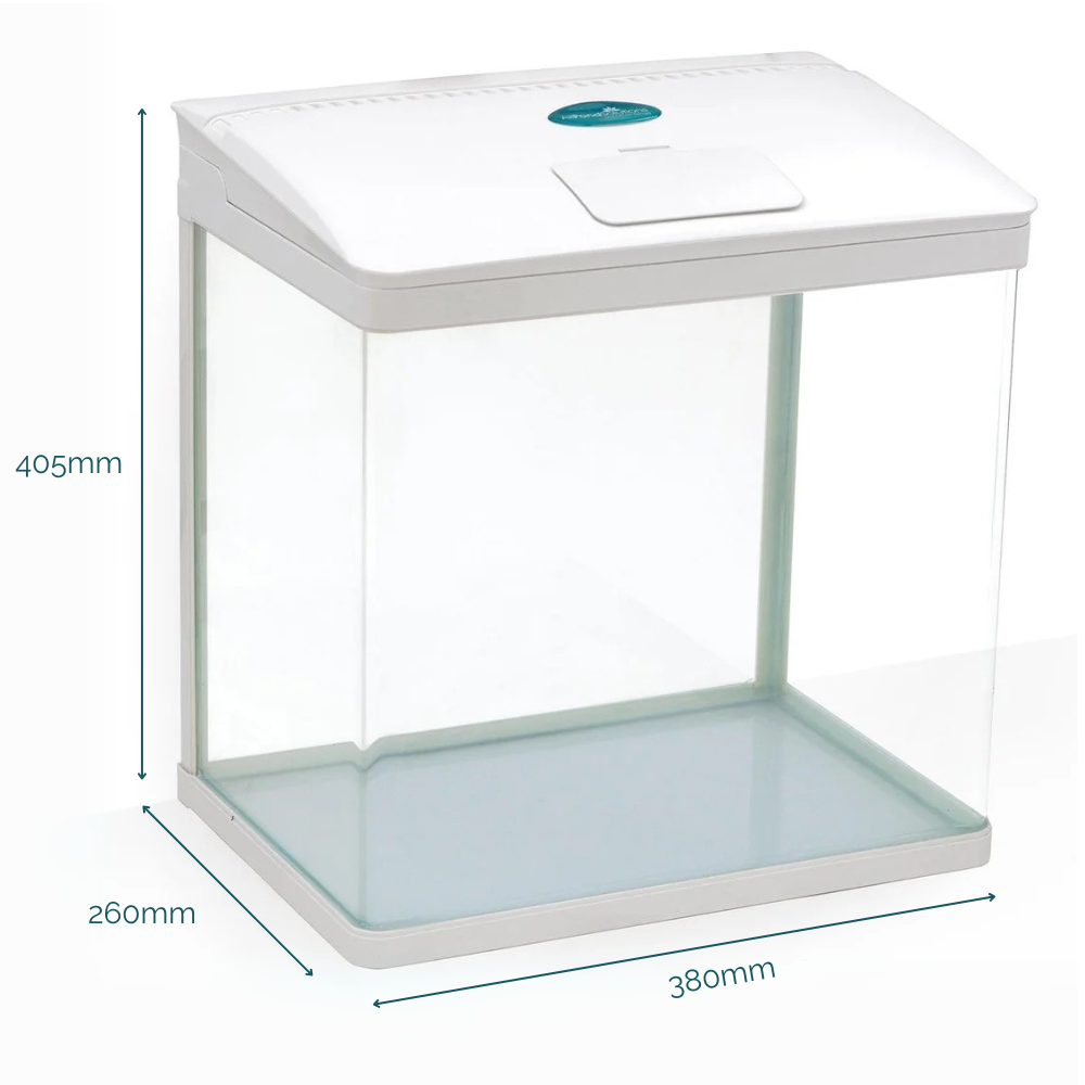 6 Color Small 29 Liter Nano Fish Tank - Compact Aquarium for Home, Office & Classroom | Perfect for Betta Fish, Shrimp & Small Aquatic Pets