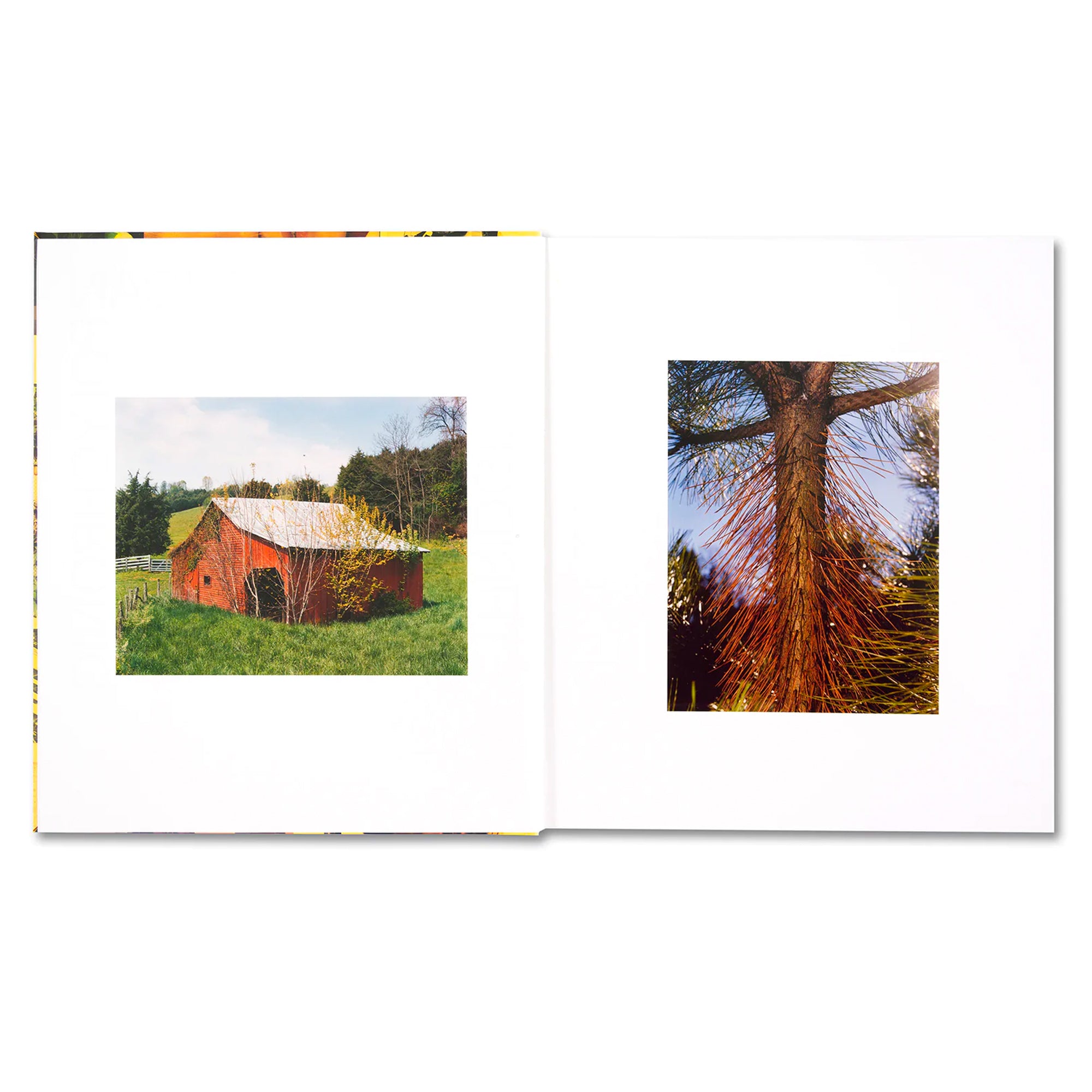 Roe Ethridge: American Polychronic Hardcover Art Book - Perfect for Contemporary Art Collectors & Photography Enthusiasts