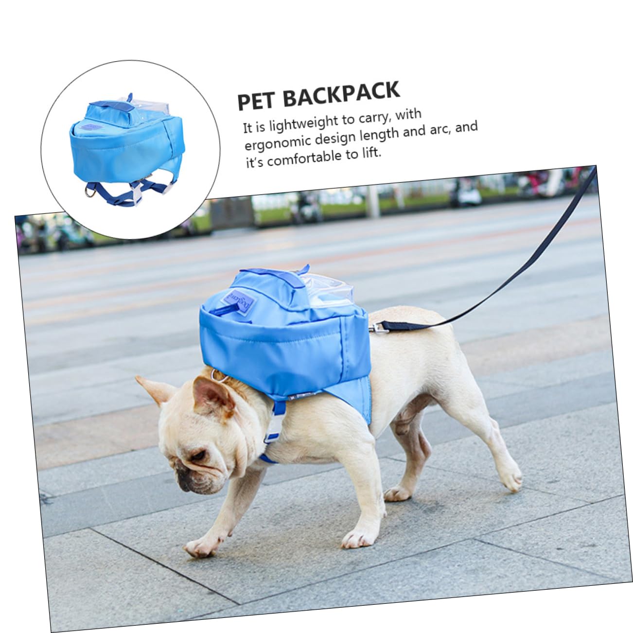 Balacoo Pet Backpack for Small Dogs & Cats - Lightweight TPE Tarpaulin Travel Carrier with Leash & Toy Storage - Perfect for Hiking, Walking, and Outdoor Adventures