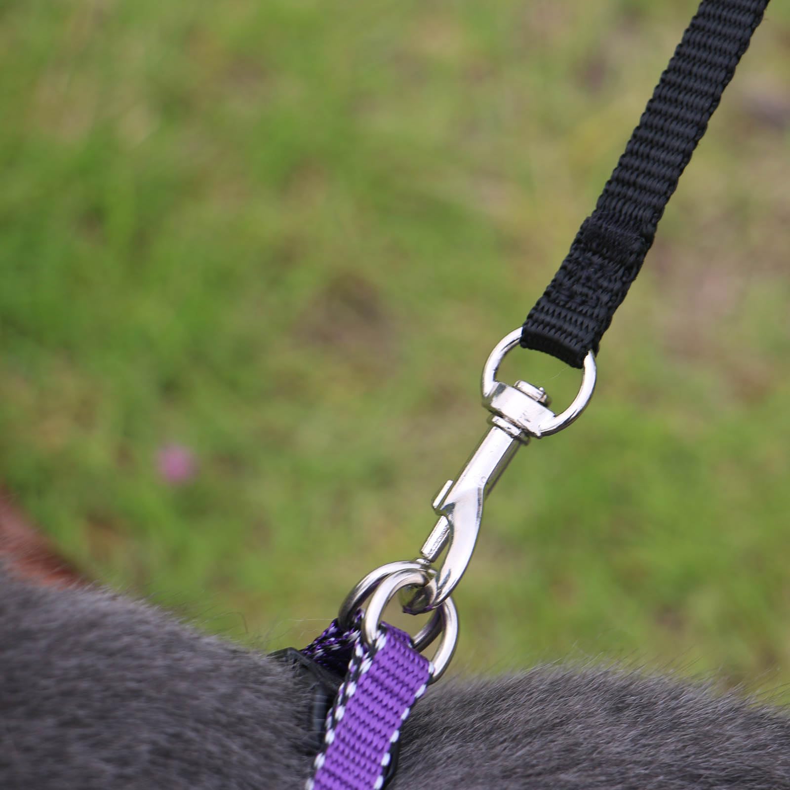 AMAGOOD 6 FT Cat Leash - Strong & Durable Traditional Style Pet Leash with Easy-Use Collar Hook - Perfect for Walking & Training Cats (3/8 in x 6 ft, Black & Purple 2-Pack) - Ideal for Outdoor Adventures, Vet Visits & Daily Walks