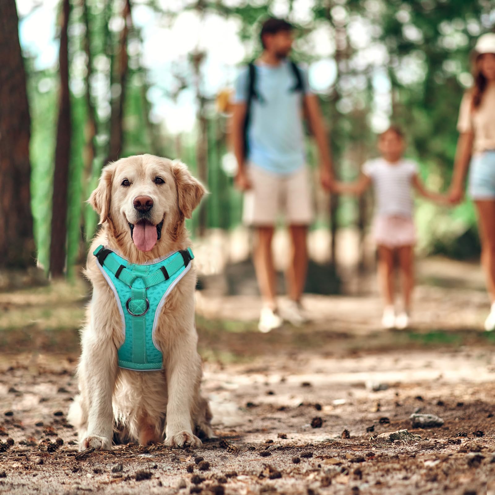 No Pull Dog Harness - Adjustable Reflective Pet Vest with Control Handle for Small, Medium & Large Dogs | Heavy Duty Escape Proof Design for Walking, Training & Outdoor Adventures