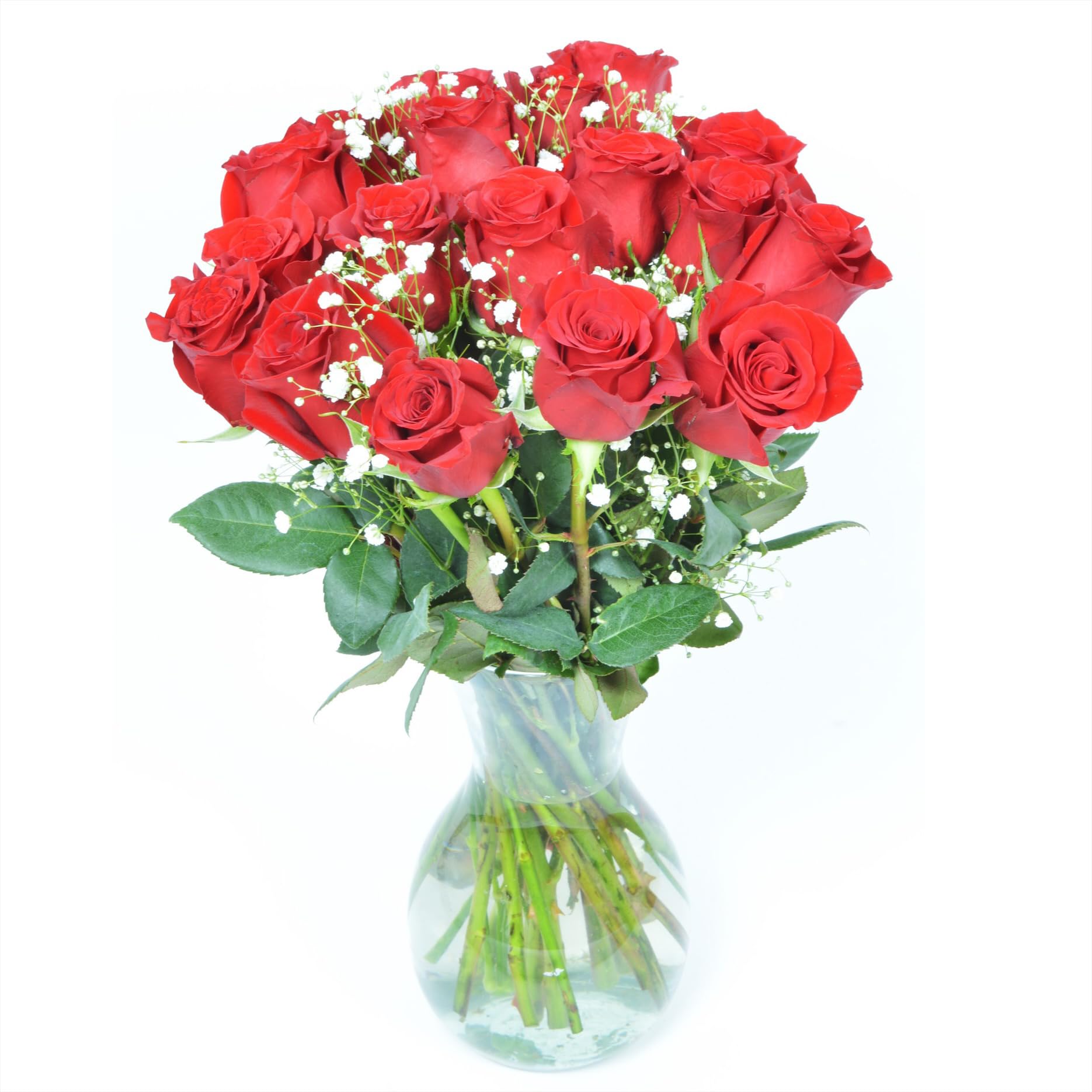 18 Red Roses with Baby's Breath in Glass Vase - Fresh Flower Bouquet for Birthday, Anniversary & Congratulations | Arabella Bouquets | Perfect for Romantic Gifts, Wedding Decor & Home Centerpieces