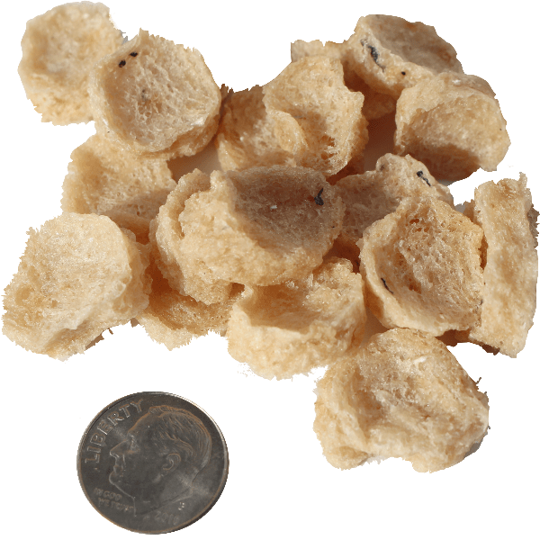Premium Icelandic Cod Chips Mini Fish Snacks - All-Natural Dog Treats for Training & Rewards - Perfect for Small Breeds & Sensitive Stomachs