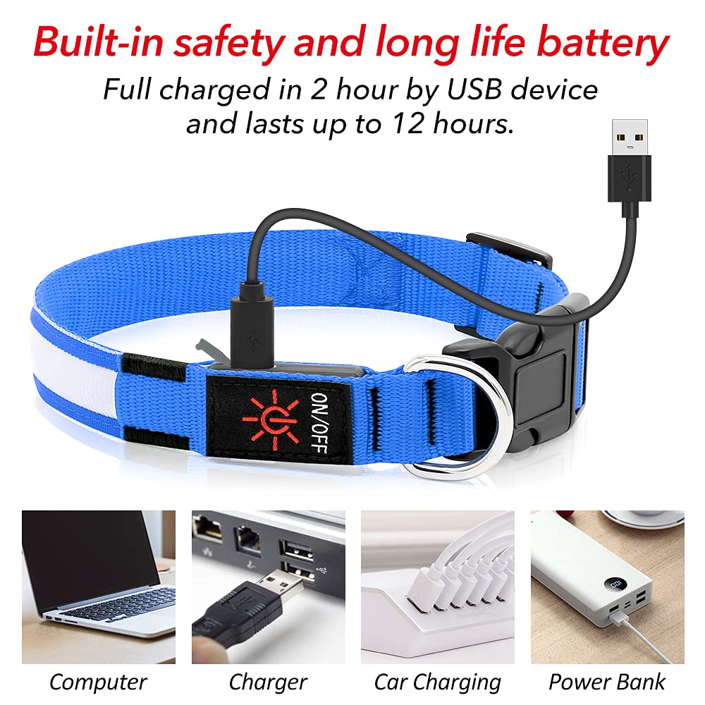 BSEEN Rechargeable LED Dog Collar - Waterproof Reflective Glow in The Dark Collar for Small Dogs, Night Safety Walking Gear with Bright Royal Blue Light - Perfect for Evening Walks, Jogging & Outdoor Adventures