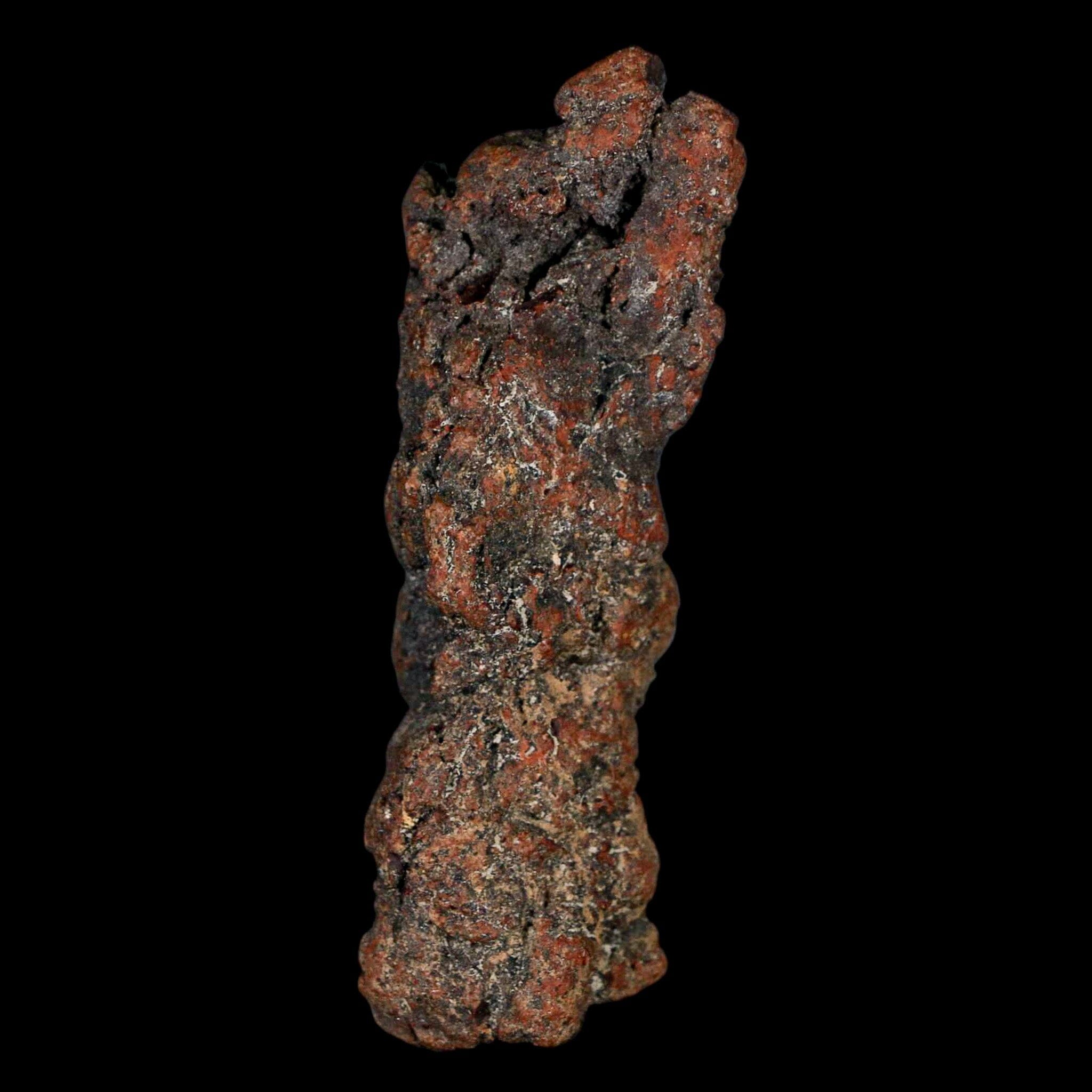 Authentic Prehistoric Coprolite Fossil Specimen - Genuine Miocene Dinosaur Poop from Madagascar | Rare Collectible for Paleontology Enthusiasts & Unique Home Decor