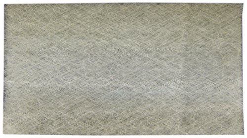 Totaline 88NA2818E101 Air Cleaner Media Filter - Pack of 2 | High-Efficiency HVAC Replacement Filter for Home & Office Use