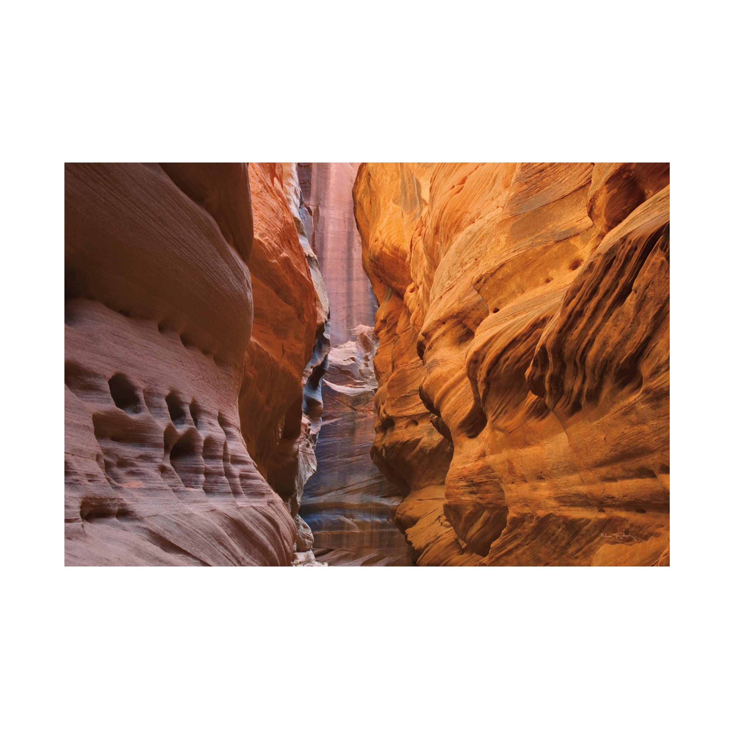 Becky Thorns 'Graduation II Pink' Canvas Wall Art Print - 30x47 Inch Framed Home Decor for Living Room, Bedroom & Office - Trademark Fine Art Collection