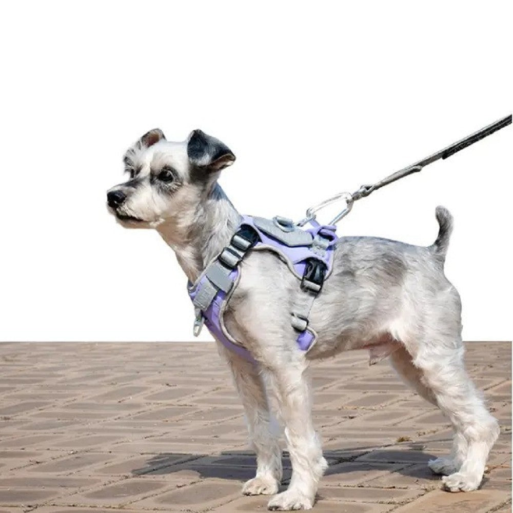 Interlaken Air Cooling Dog Harness - Breathable Mesh Vest for Dogs, Adjustable & Reflective - Perfect for Summer Walks, Hiking & Outdoor Adventures