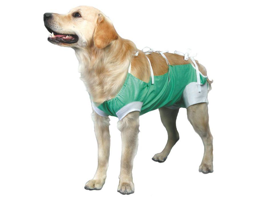 VetMedWear Pet Recovery Gown - Post-Surgery Dog & Cat Medical Shirt - Wholesale Bulk for Veterinary Clinics & Pet Owners | Perfect for Post-Op Care, Wound Protection & Comfortable Healing