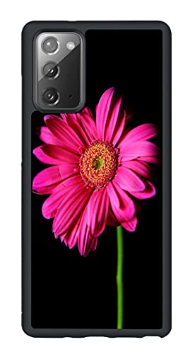 For Note 20