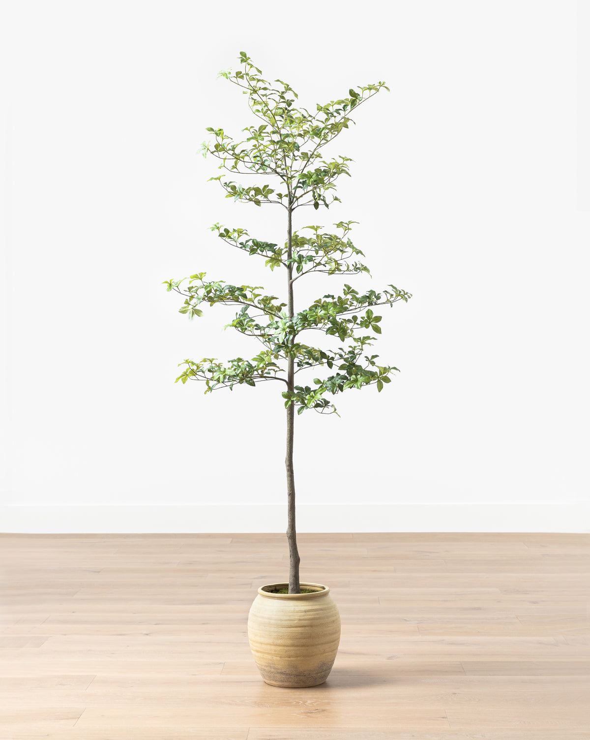 Artificial Japanese Quince Tree - 60