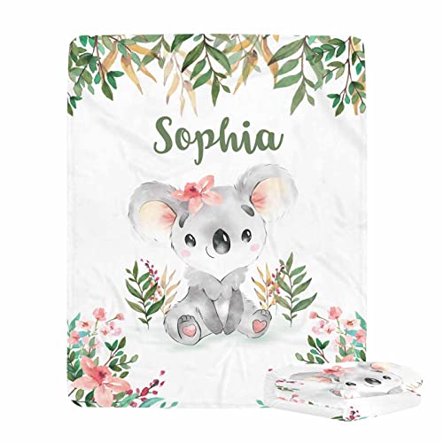 Koala3