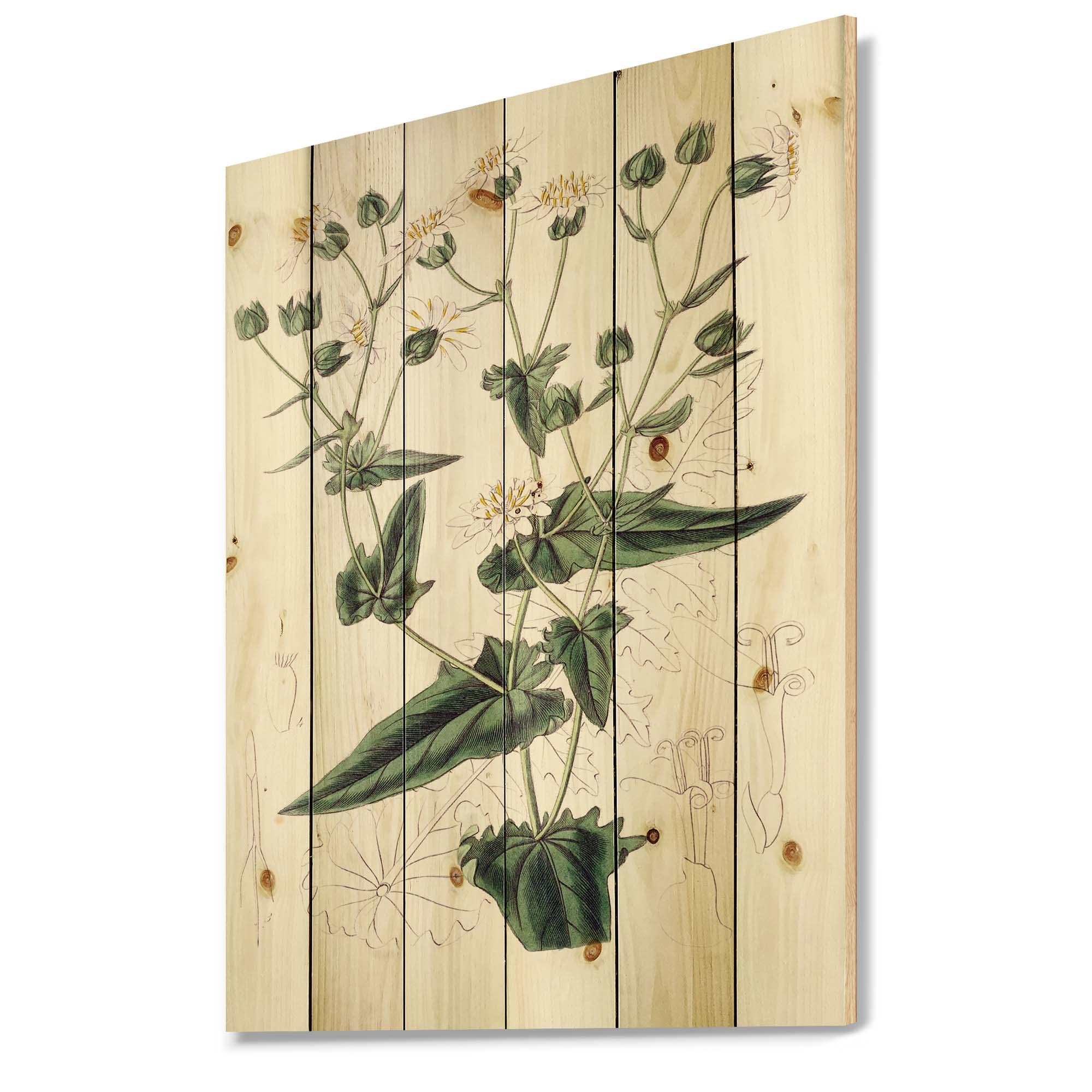 Vintage Plant Life XXII Traditional Wood Wall Decor - Large Floral Pine Wood Wall Art Panel - Handcrafted Green Botanical Wall Hanging for Living Room, Bedroom & Office Decor