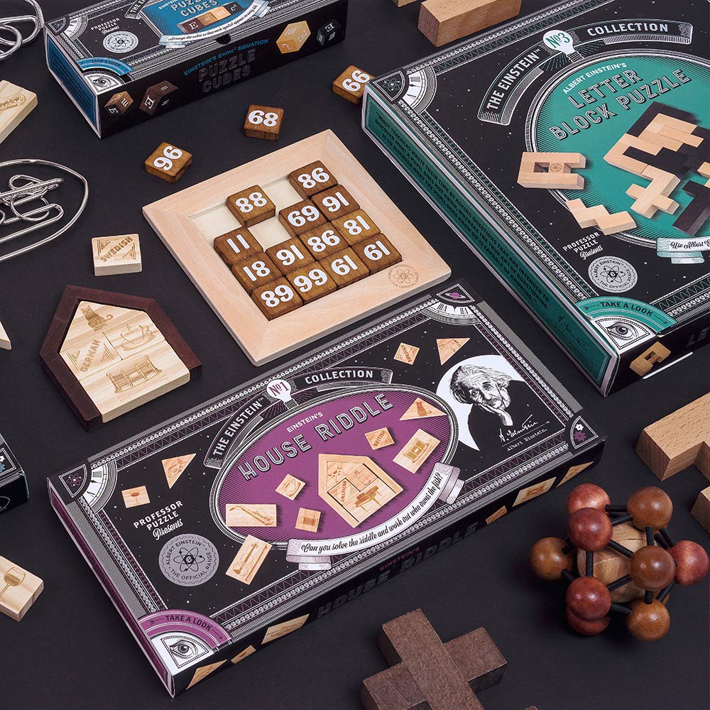 Professor PUZZLE The Einstein Collection - 3D Metal Brain Teaser Puzzle | Einstein’s Fish Interlocking Puzzle | Challenging Mind Game for Adults & Teens | Perfect for Office Desk, Gifts & STEM Learning