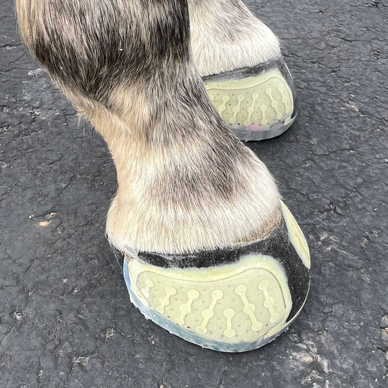 EasyShoe One Horse Boots for Riding - Durable Equestrian Boot Pair for Comfort & Protection - Perfect for Trail Riding, Dressage & Horseback Training